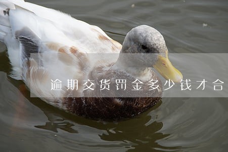 逾期交货罚金多少钱才合法