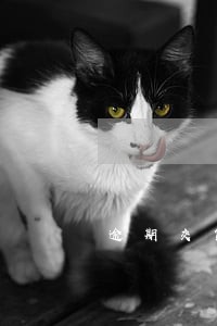 逾期交货解除合同怎么处理 逾期交货解除合同怎么处理