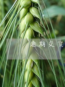 逾期交货解除合同范本 逾期交货解除合同范本
