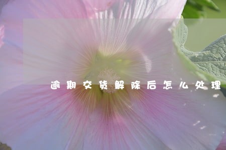 逾期交货解除后怎么处理 逾期交货解除后怎么处理