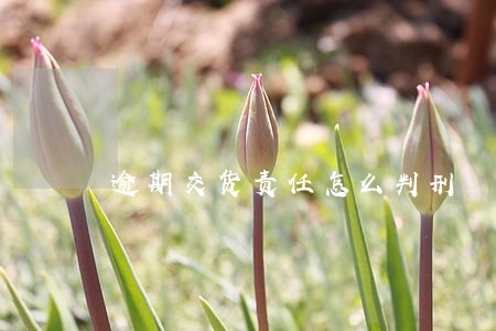 逾期交货责任怎么判刑 逾期交货责任怎么判刑