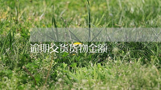 逾期交货货物金额 逾期交货货物金额
