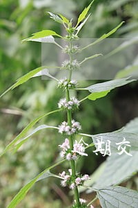 逾期交货赔偿英语