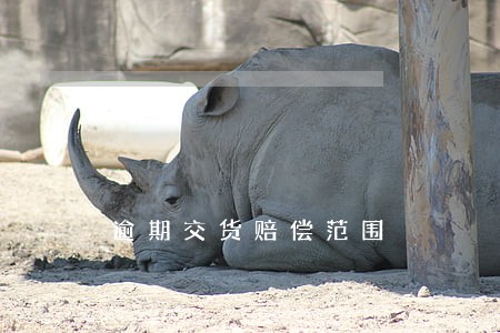 逾期交货赔偿范围 逾期交货赔偿范围