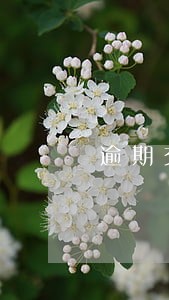逾期交货违反那些法律 逾期交货违反那些法律