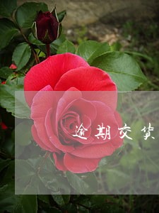 逾期交货违约函怎么写 逾期交货违约函怎么写