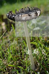 逾期交货违约怎么写 逾期交货违约怎么写
