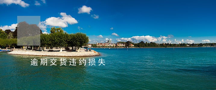 逾期交货违约损失 逾期交货违约损失