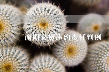 逾期交货违约责任判例