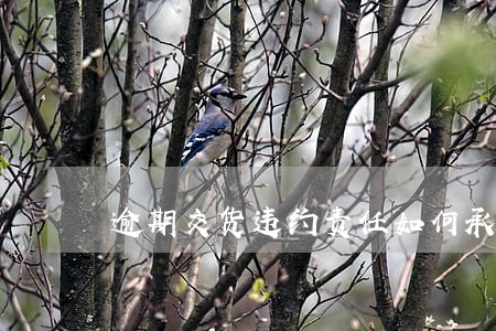 逾期交货违约责任如何承担