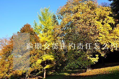 逾期交货违约责任怎么约定 逾期交货违约责任怎么约定