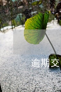 逾期交货违约责任的法律条款 逾期交货违约责任的法律条款