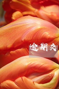 逾期交货违约责任豁免 逾期交货违约责任豁免