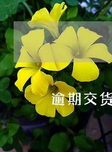 逾期交货违约赔偿 逾期交货违约赔偿