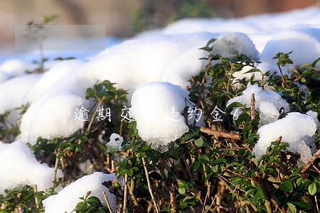 逾期交货违约金6 逾期交货违约金6
