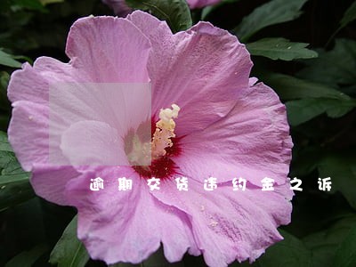 逾期交货违约金之诉 逾期交货违约金之诉