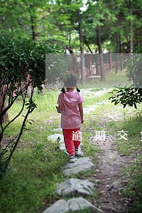 逾期交货违约金入什么科目 逾期交货违约金入什么科目
