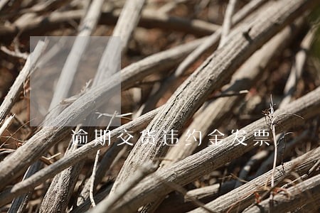 逾期交货违约金发票