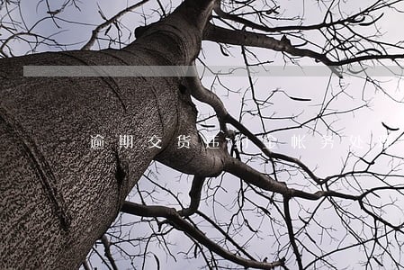 逾期交货违约金帐务处理 逾期交货违约金帐务处理