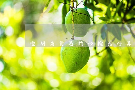 逾期交货违约金按天计算