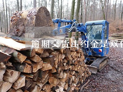 逾期交货违约金是双倍吗