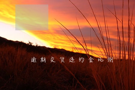 逾期交货违约金比例