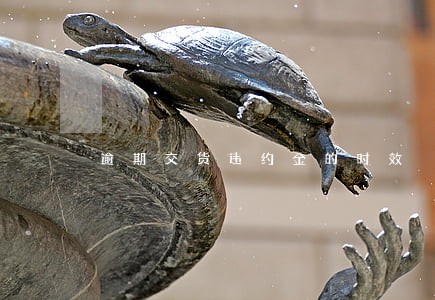 逾期交货违约金的时效 逾期交货违约金的时效