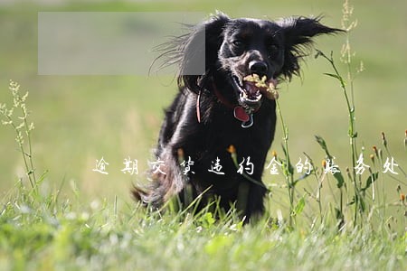 逾期交货违约金的账务处理 逾期交货违约金的账务处理