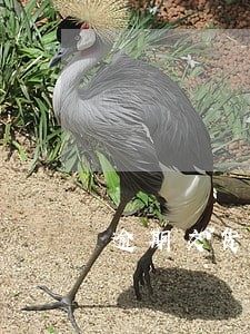 逾期交货违约金补充