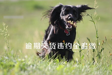 逾期交货违约金追缴 逾期交货违约金追缴