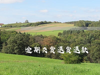 逾期交货退货退款 逾期交货退货退款