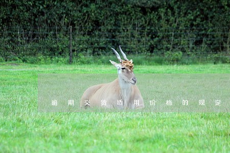 逾期交货适用价格的规定