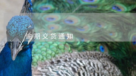 逾期交货通知 逾期交货通知