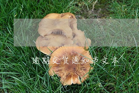 逾期交货通知书文本 逾期交货通知书文本