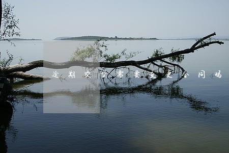 逾期交货需要变更合同吗 逾期交货需要变更合同吗