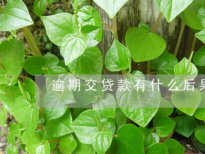 逾期交贷款有什么后果是什么