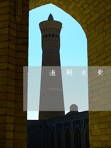 逾期交费违约金多次主张 逾期交费违约金多次主张