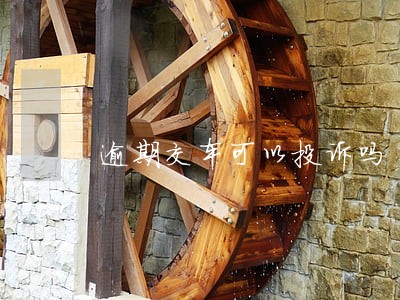 逾期交车可以投诉吗 逾期交车可以投诉吗