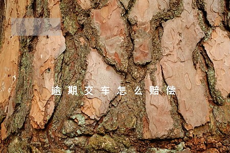 逾期交车怎么赔偿