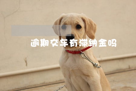 逾期交车有滞纳金吗 逾期交车有滞纳金吗
