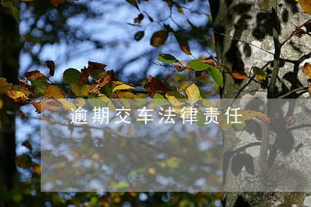 逾期交车法律责任 逾期交车法律责任