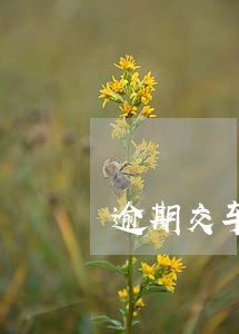 逾期交车辆保险会被罚吗 逾期交车辆保险会被罚吗