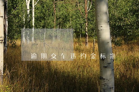 逾期交车违约金标准 逾期交车违约金标准