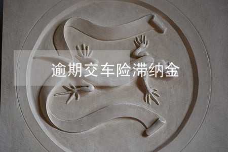 逾期交车险滞纳金 逾期交车险滞纳金