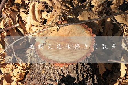 逾期交违法停车罚款多少 逾期交违法停车罚款多少