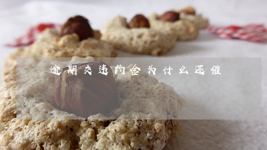 逾期交违约金为什么还催 逾期交违约金为什么还催