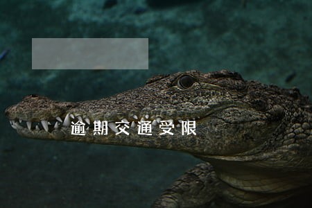 逾期交通受限 逾期交通受限