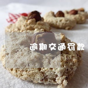 逾期交通罚款 逾期交通罚款