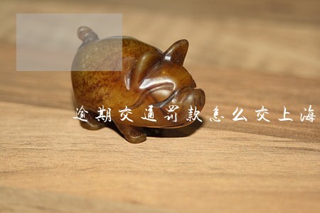 逾期交通罚款怎么交上海 逾期交通罚款怎么交上海