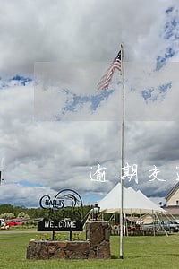 逾期交通罚款未处理上征信了上海 逾期交通罚款未处理上征信了上海